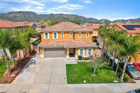 3991 Alpine Fir