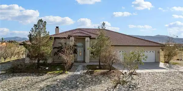 2425 Tokay