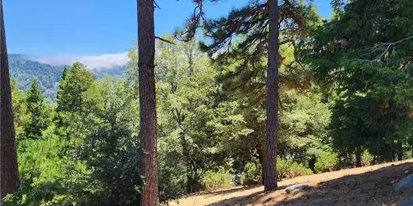 315 Weisshorn Drive