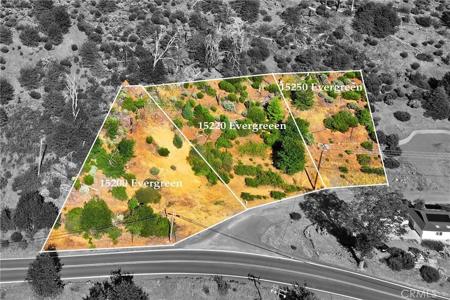 15250 Evergreen