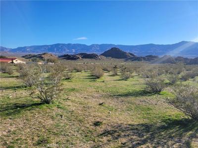 0 Rabbit Springs Road