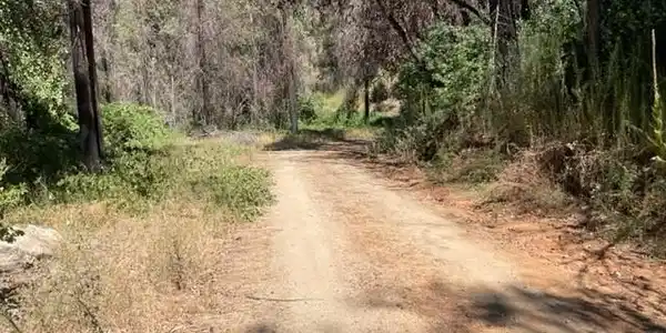 27 Broken Springs
