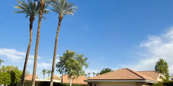 144 Verde Way