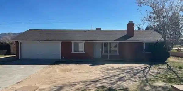 16233 Rodeo