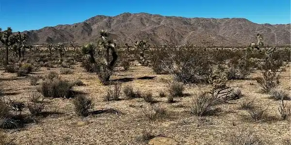 0 Canyon View Road
