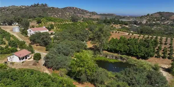 38149 De Luz Rd