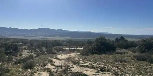 40368 Elm Brush Trail