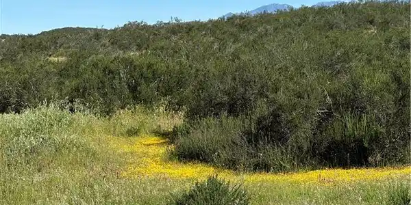 0 Sage & Red Mountain Road