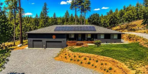 5999 Sugar Pine