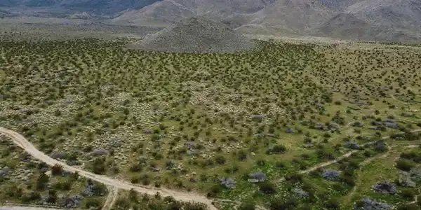 0 Great Southern Overland Rte.