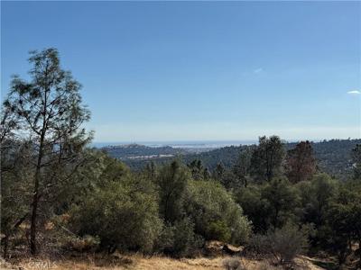39.12 AC Ward Mountain