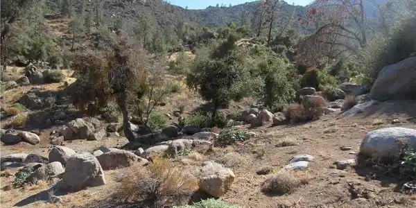 0 054-145-01-00-2