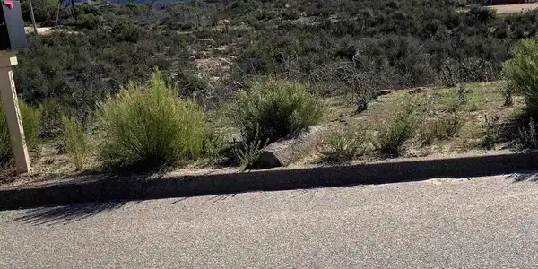 4391 MONTIEL TRUCK TRAIL