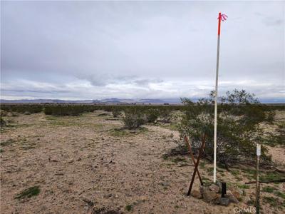 40 AC Near Center Road