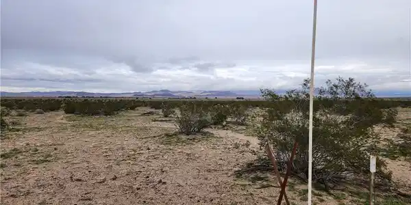 40 AC Near Center Road