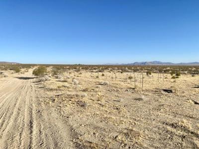 104 Joshua Tree Road