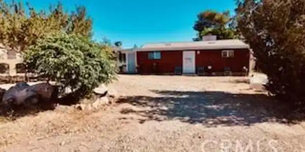7676 Juniper