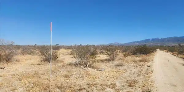 40 AC Pomona Road