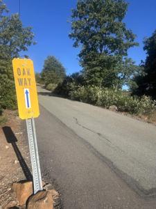 Oak Way
