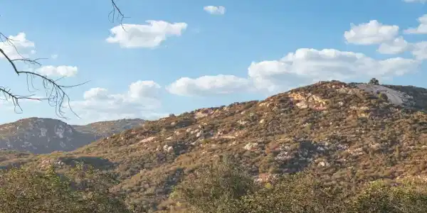 26086 Bear Valley Heights Road