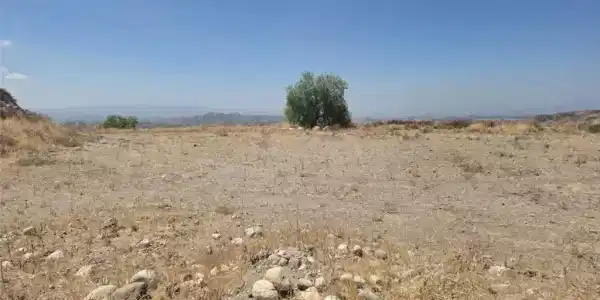 0 Agua Dulce