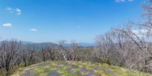 39 Acres Buckingham Mountain Road