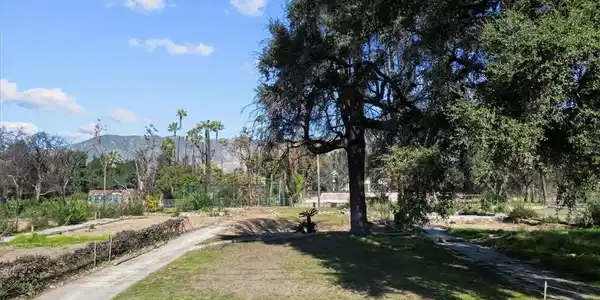 215 E Calaveras