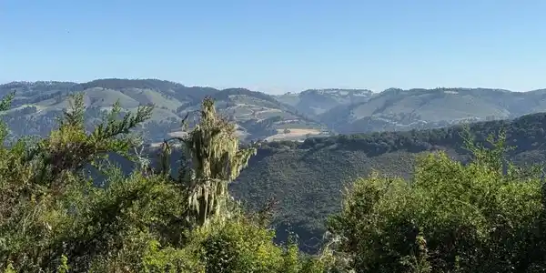 6 Rancho San Carlos (Lot E10) Road