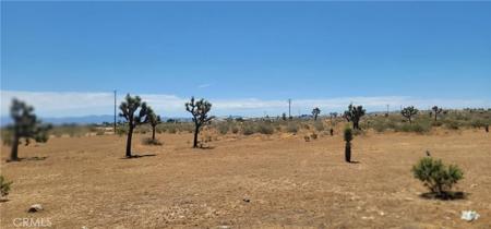 12350 Pueblo Trl