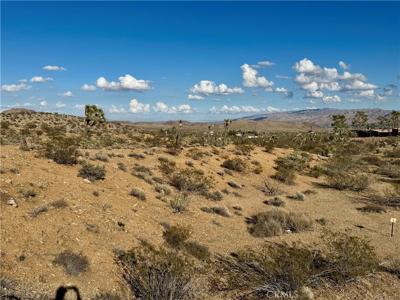 0 ocotillo