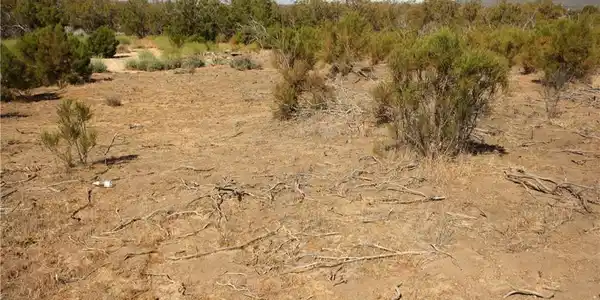 0 Pony Trail