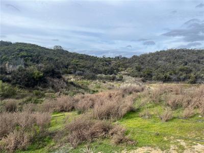 8445 Old Dirt Road