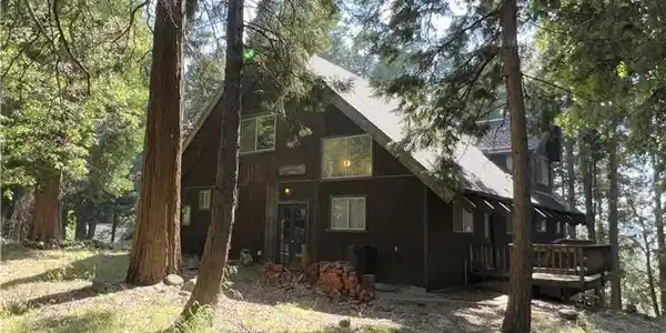 23245 Crest Forest