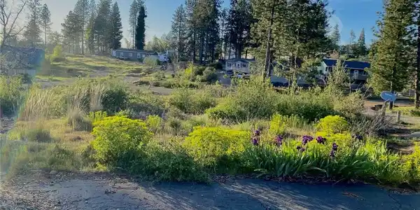 13589 Miwok Court