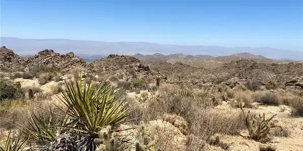 15 Desert Calico Way
