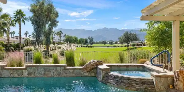 81687 Desert Willow