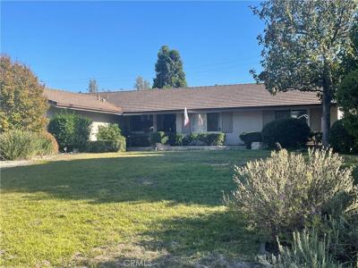 2364 W Silver Tree