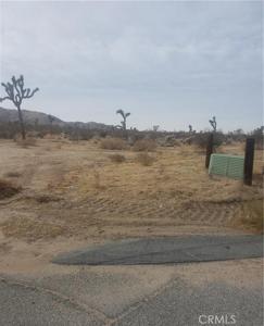 29 Palms