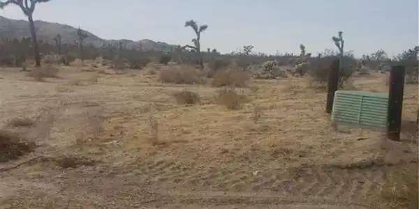 29 Palms