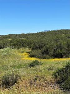 0 Sage & Red Mountain Road