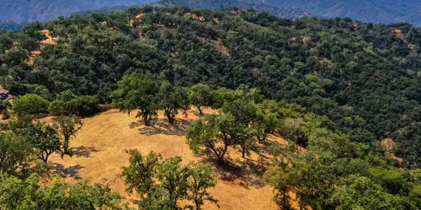 21 Long Ridge Trail