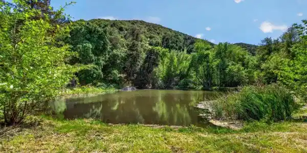 63 Acres San Felipe Road