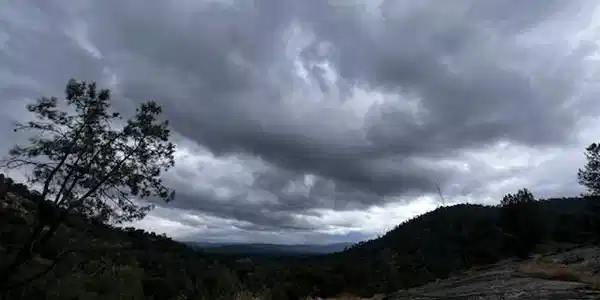 3631 Guadalupe Creek
