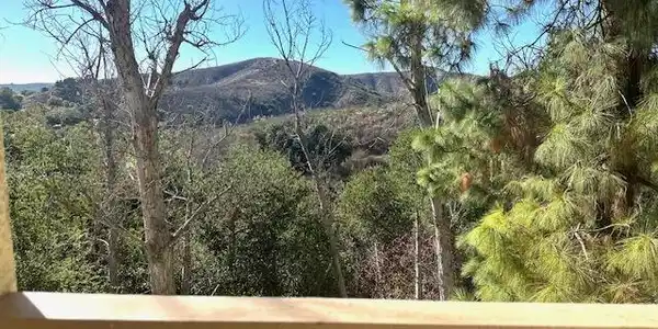 631 Oak Run Trail