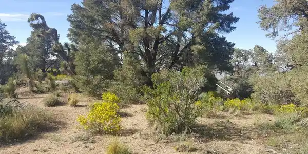 0 Scenic Creek Drive