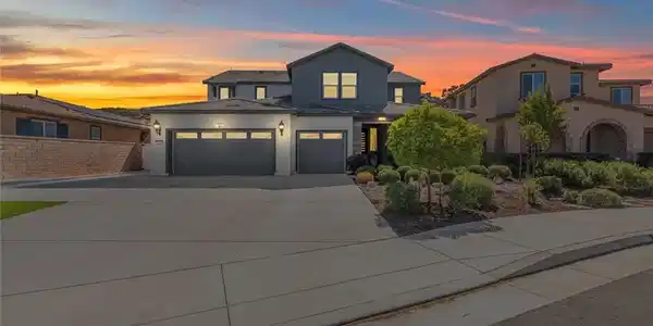 26219 Silver Birch