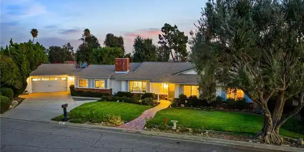8607 Buggy Whip