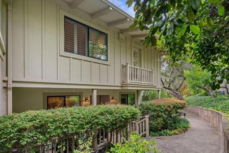 14676 Wild Berry Lane