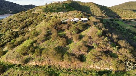 121 Avo Drive