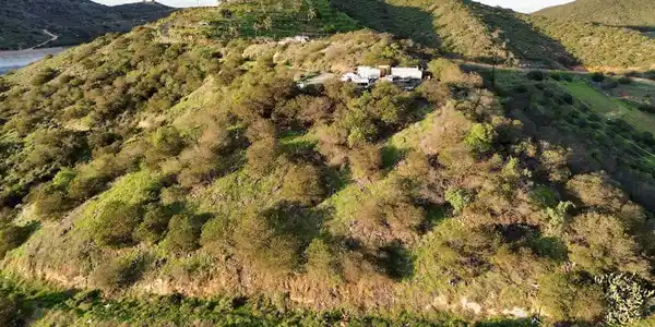 121 Avo Drive